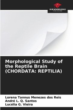 Morphological Study of the Reptile Brain (CHORDATA: REPTILIA) - Tannus Menezes dos Reis, Lorena;L. Q. Santos, André;G. Vieira, Lucélia