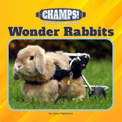 Wonder Rabbits - Markovics, Joyce