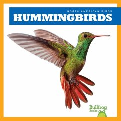 Hummingbirds - Grack, Rachel