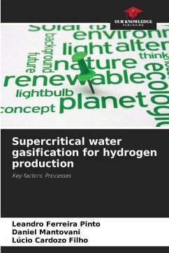 Supercritical water gasification for hydrogen production - Ferreira Pinto, Leandro;Mantovani, Daniel;Cardozo Filho, Lúcio