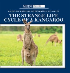 The Strange Life Cycle of a Kangaroo - McDougal, Anna