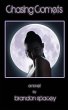 Chasing Comets - Bild 1