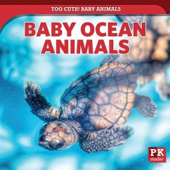 Baby Ocean Animals - Morlock, Rachael