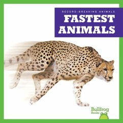 Fastest Animals - Austen, Lily