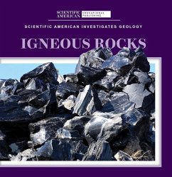 Igneous Rocks - Longoria, Taron