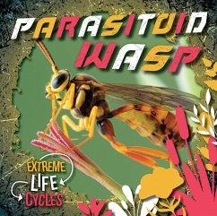 Parasitoid Wasp - Andrews, E C