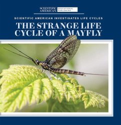 The Strange Life Cycle of a Mayfly - McDougal, Anna