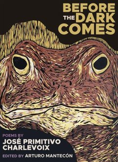 Cover Before the Dark Comes