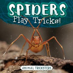 Cover Spiders Play Tricks!