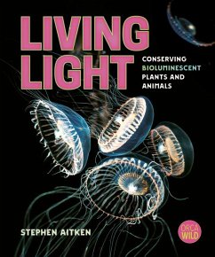 Living Light - Aitken, Stephen