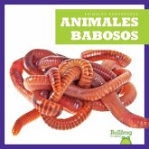 Animales Babosos (Slimy Animals)