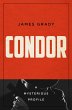 Condor (eBook, ePUB) - Bild 1