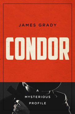 Cover Condor (eBook, ePUB)