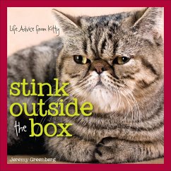 Stink Outside the Box (eBook, ePUB) - Greenberg, Jeremy
