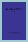 Sailing Success Seas