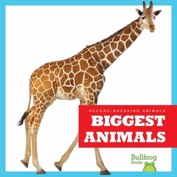 Biggest Animals Biggest Animals