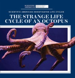 The Strange Life Cycle of an Octopus - McDougal, Anna