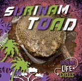 Surinam Toad Surinam Toad