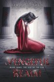 A Vengeful Realm A Vengeful Realm
