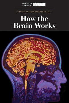 How the Brain Works