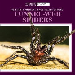 Funnel-Web Spiders - Aldolpho, Roxanne