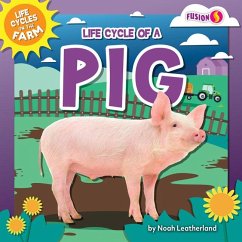 Life Cycle of a Pig - Leatherland, Noah