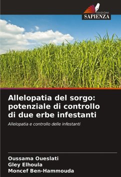 Cover Allelopatia del sorgo: potenziale di controllo di due erbe infestanti