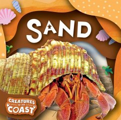 Sand - Leatherland, Noah