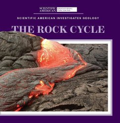 The Rock Cycle - Longoria, Taron