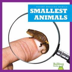 Smallest Animals Cover Smallest Animals