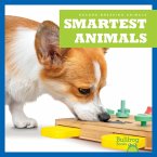 Smartest Animals Smartest Animals