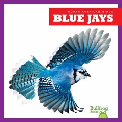 Blue Jays - Grack, Rachel