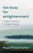Too Busy For Enlightenment (eBook, ePUB) - Bild 1