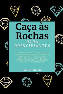 Cover Caça às Rochas para Principiantes