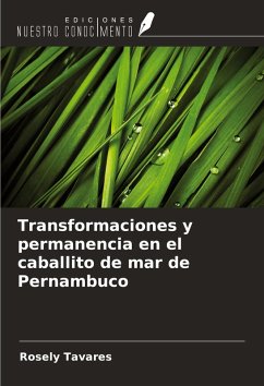 Cover Transformaciones y permanencia en el caballito de mar de Pernambuco