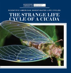 The Strange Life Cycle of a Cicada - McDougal, Anna