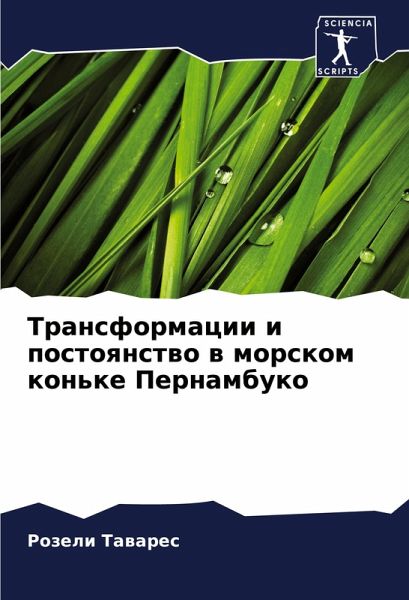 Transformacii i postoqnstwo w morskom kon'ke Pernambuko