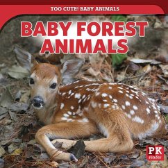 Baby Forest Animals - Morlock, Rachael