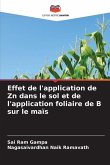 Effet de l'application de Zn dans le sol et de l'application foliaire de B sur le maïs