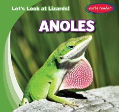 Anoles - Lynch, Seth