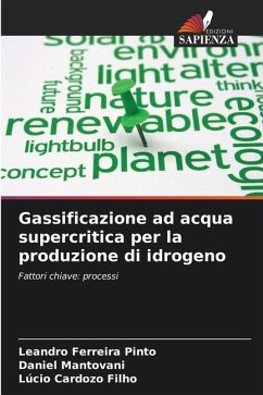 Gassificazione ad acqua supercritica per la produzione di idrogeno - Ferreira Pinto, Leandro;Mantovani, Daniel;Cardozo Filho, Lúcio