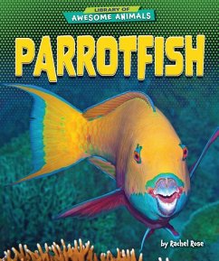 Parrotfish - Rose, Rachel