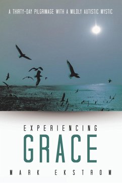 Experiencing Grace - Ekstrom, Mark