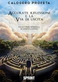 Accurate riflessioni e la via di uscita (eBook, ePUB)