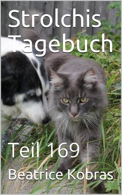 Strolchis Tagebuch - Teil 169 (eBook, ePUB) - Kobras, Beatrice