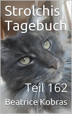 Strolchis Tagebuch - Teil 162 (eBook, ePUB) - Kobras, Beatrice