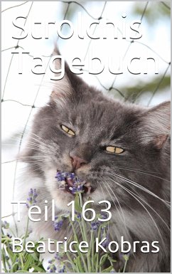 Strolchis Tagebuch - Teil 163 (eBook, ePUB) - Kobras, Beatrice