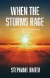 When the Storms Rage (eBook, ePUB) - Bild 1