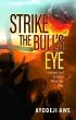Strike the Bull's Eye (eBook, ePUB) - Bild 1