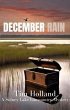 December Rain (eBook, ePUB) - Bild 1